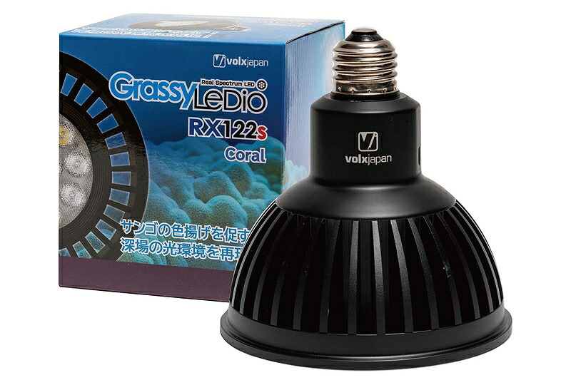 【ボルクスジャパン】 GrassyLeDio RX122s Coral B 黒[GLRX122S/CR] 15,640円