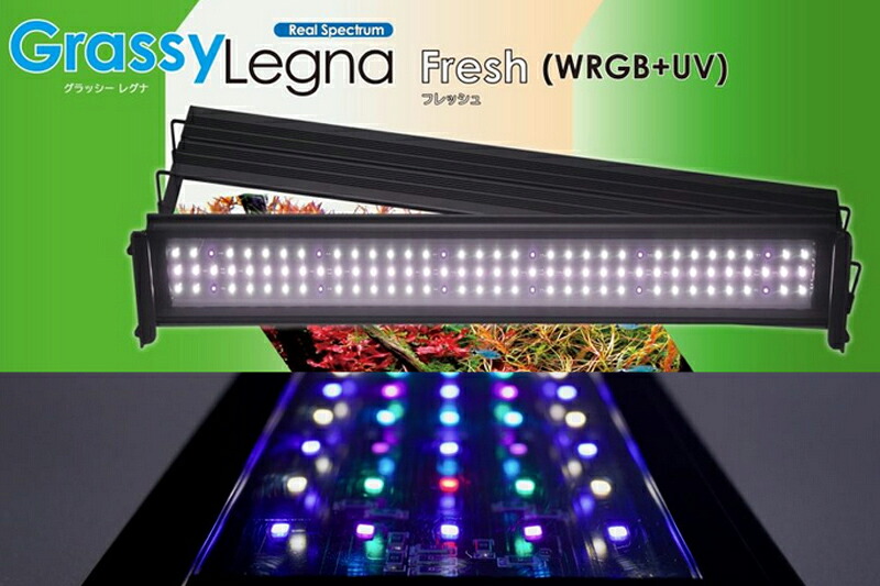 【照明器具】【ボルクスジャパン】 GrassyLegna 30 Fresh / WRGBV【ボルクスジャパン】 GrassyLegna 30 Fresh / WRGBV｜ペットバルーン支店