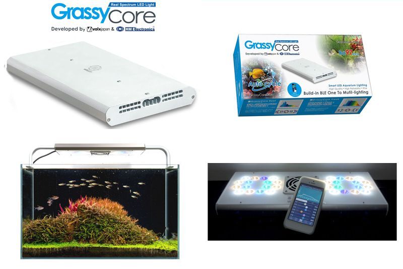 初回限定の 飼育用品 器具 観賞魚 Ledライト 熱帯魚 アクアリウム コア 淡水用 メーカー保証付き ペット ペットグッズ Grassy コア 淡水用 メーカー保証付き ペットバルーン支店 Core グラッシー 照明器具 初回限定の 飼育用品 器具 観賞魚 Ledライト 熱帯魚 アクアリウム コア 淡水用 メーカー保証付き ペット ペットグッズ Grassy コア 淡水用 メーカー保証付き ペットバルーン支店 Core グラッシー 照明器具