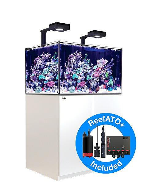 【飼育用品・器具】【大型商品送料別途】【お取り寄せ】【Red Sea】　Reefer G2＋DX 300 ホワイト (オーバーフロー水槽 リーファー)