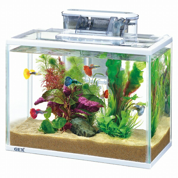 楽天市場】【飼育用品・器具】【水槽セット】エーハイム クラシック