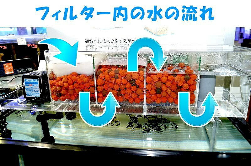 ポイント10倍 飼育用品 器具 フィルター 上部フィルター Easy Top フィルター Model900 送料梱包料込み 淡水 海水可 ペットバルーン支店 魅了 Volfgr Com