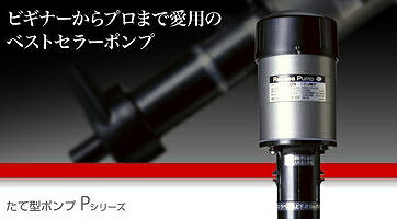レビューで送料無料 楽天市場 飼育用品 器具 ポンプ レイシー縦型ポンプp450vポンプ上部フィルター 淡水 海水用 ペットバルーン楽天市場支店 即日出荷 Lexusoman Com