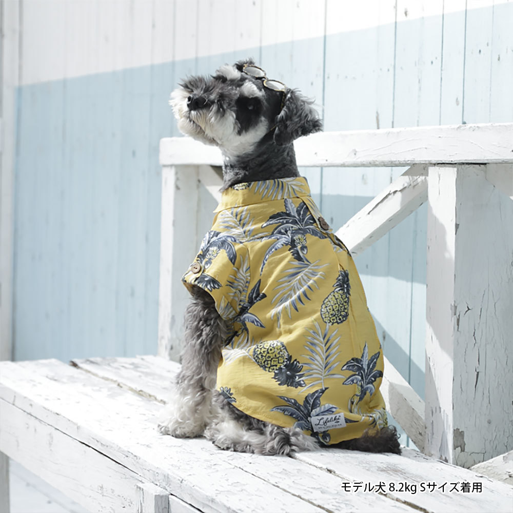 楽天市場 Life Like サングラス Sサイズ 眼鏡 ライフライク 犬用 猫用 Uvカット ドッグファッション ペットファッション D Cサングラス おしゃれ お出かけ パーティー ドッグアクセサリー プレゼント Pet Chou Chou