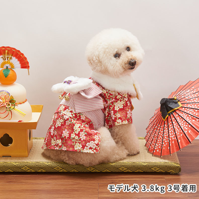 楽天市場 Sale Life Like モダン晴れ着 ライフライク 犬 正月 着物 袴 年賀状 犬服 映え 写真 冬 ペットファッション ドッグウェア かわいい かっこいい おしゃれ セレブ 小型犬 超小型犬 Pet Chou Chou