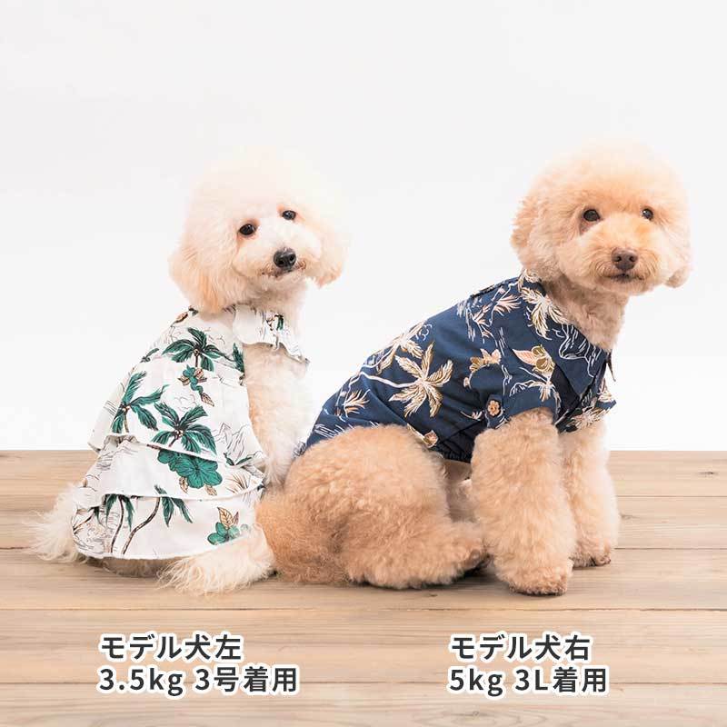 楽天市場 Sale Life Like ヴィンテージアロハ 81s007 ライフライク 犬 犬服 ワンピース アロハシャツ 南国 ペア ペットファッション ドッグウェア かわいい かっこいい おしゃれ 小型犬 超小型犬 シック シンプル 夏 抗菌加工 Pet Chou Chou