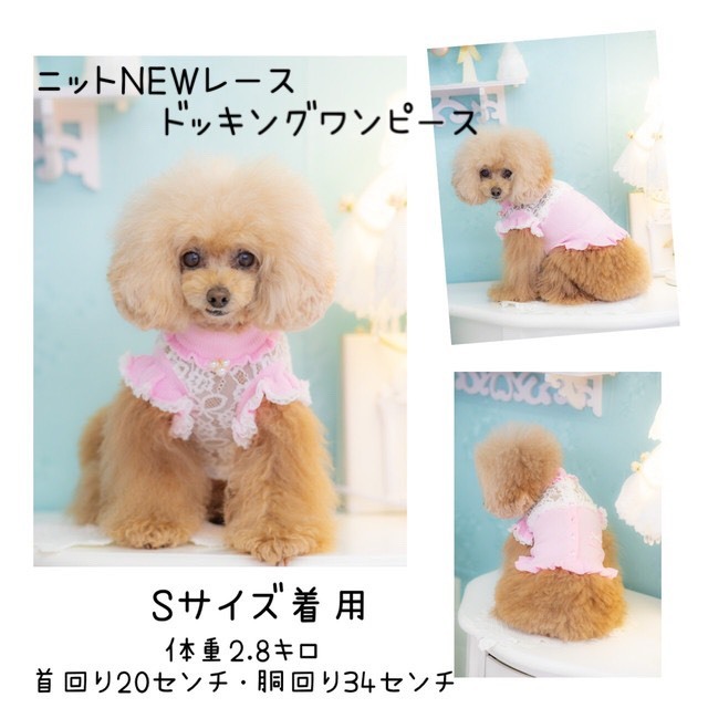 ニットnewレースドッキングワンピース Kalina 犬服 ドッグウェア ドッグファッション 超小型犬 小型犬 春 夏 おしゃれ かわいい セレブ お出かけ 前身の透けているレースが とってもかわいい女の子にしてくれる1枚です 素材のバランスを取りながらお作りするため