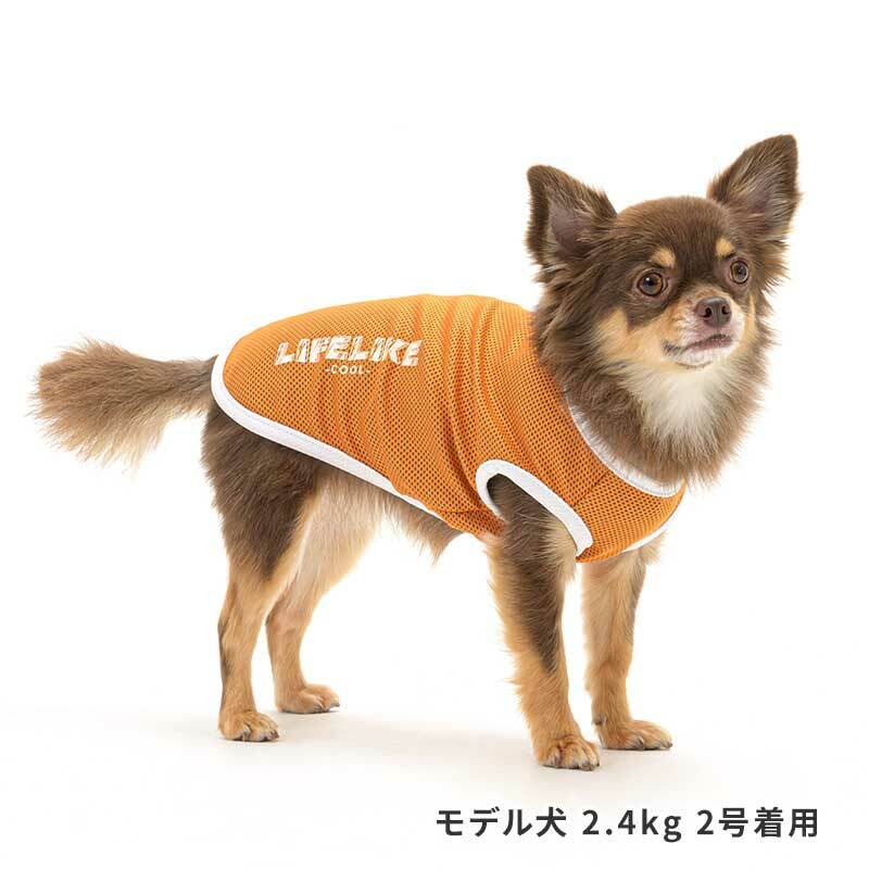 楽天市場】犬服 SALE ラビットトレーナー 101W25 ライフライク