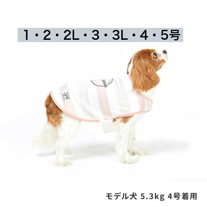 楽天市場】犬服 SALE ラビットトレーナー 101W25 ライフライク