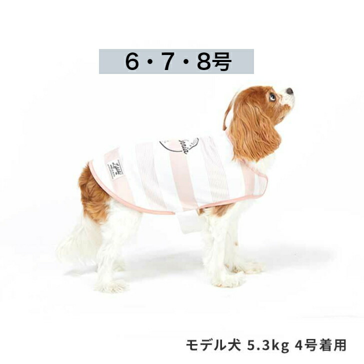 楽天市場】犬服 SALE マウンテンパファハーネス 101W19 ライフライク LIFELIKE 犬用アウター あったか 秋冬 おしゃれ かわいい  小型犬 シュナウザー チワワ もこもこ 犬の服 ドッグウェア おでかけ 人気ブランド 袖なし 中綿 ハーネス アウターハーネス : pet chou  chou