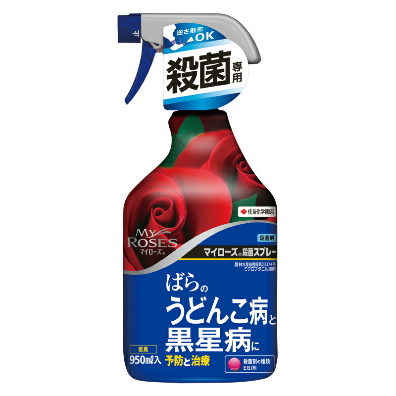 住友化学園芸 殺菌剤 950ml ばらのうどんこ病と黒星病に予防と治療 ペット マイローズ殺菌スプレー