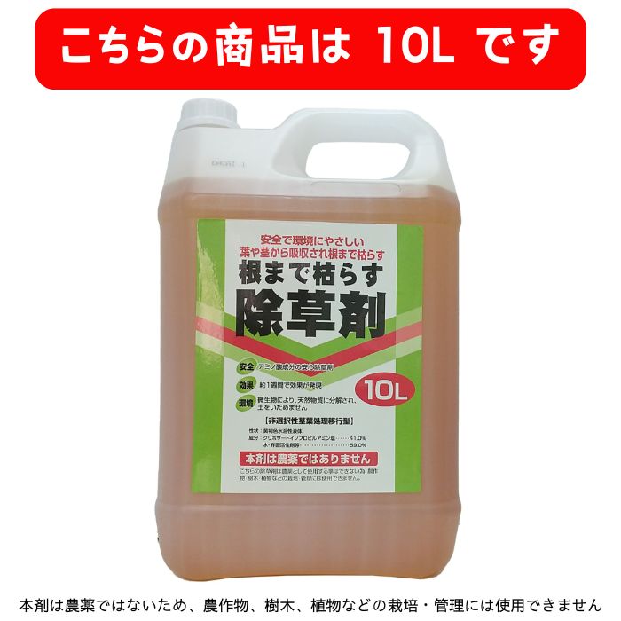愛玩動物装置アウトレットセール