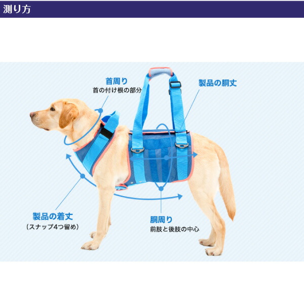 歩く補翼ハーネス ララウォーク クールメッシュ 大型イヌ役割り Lalawalk 大型犬 犬 介護 株式会社トンボ Marchesoni Com Br
