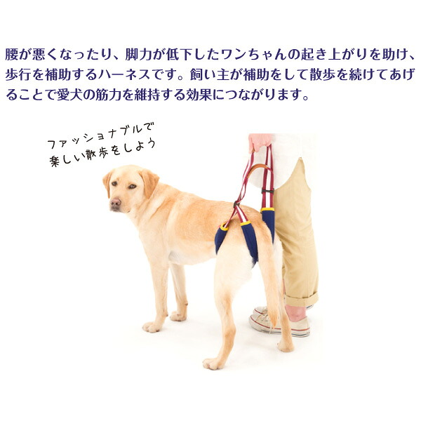 歩行補助ハーネス ララウォーク アメカジ Lalawalkstep ステップ 大型犬用 中