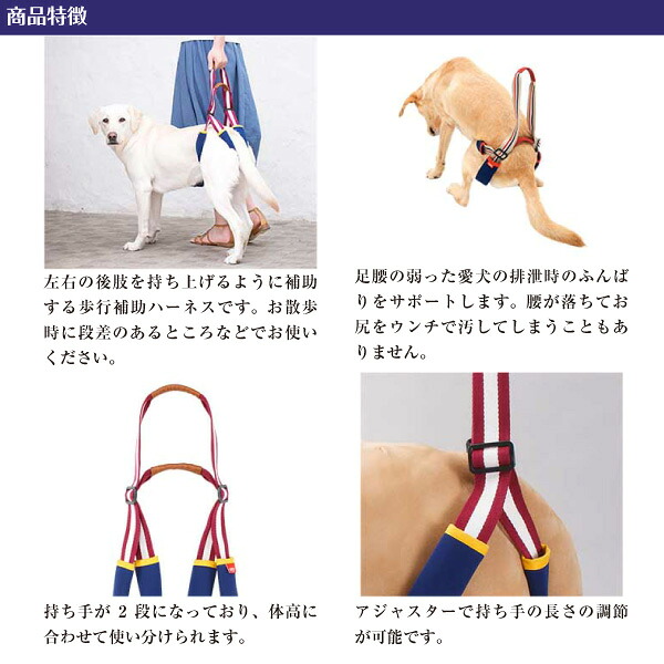 歩行補助ハーネス ララウォーク アメカジ Lalawalkstep ステップ 大型犬用 中