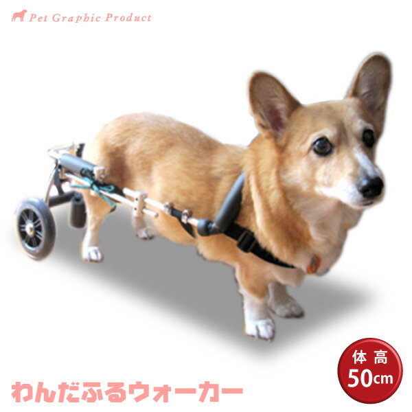 犬用車椅子 犬 名入れ わんだふるウォーカー 体高50cm 50 59cm オーダーメイド商品に付き返品不可 犬 車椅子 体高50cm オーダーメイド ペットグラフィックプロダクトオーダーメイドでぴったりサイズ 犬用車椅子 犬 名入れ わんだふるウォーカー 体高50cm 50 59cm オーダーメイド商品に付き返品不可 犬 車椅子 体高50cm オーダーメイド ペットグラフィックプロダクトオーダーメイドでぴったりサイズ