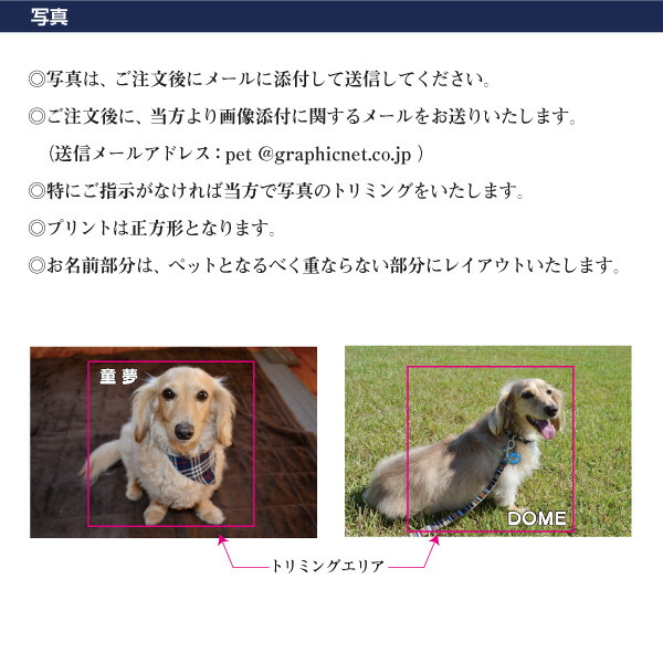 市場 犬 犬のお散歩バッグ お名前入り MYフォト 両面仕様 デニム お散歩バッグ トートバッグ