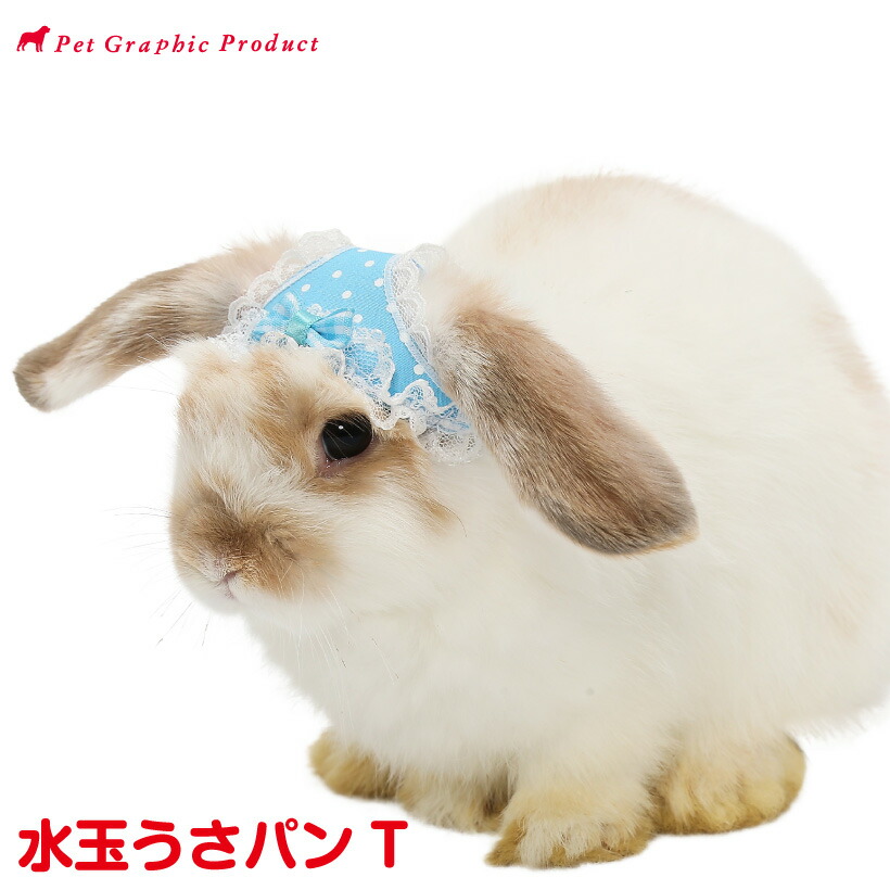 楽天市場】うさぎ 帽子 うさパンT チェック ウサギ 兎 うさ
