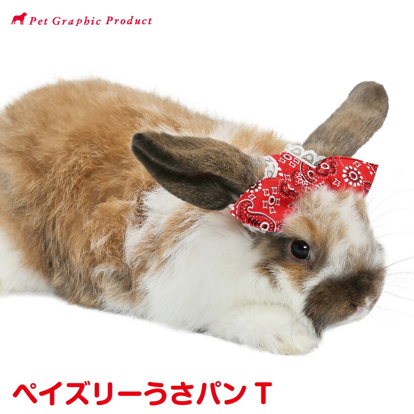 いつでもいっしょ♪　うさぎのパンツと帽子　コスチューム 楽天市場】うさぎ 帽子 うさパンT 《 ドット 》 ウサギ 兎
