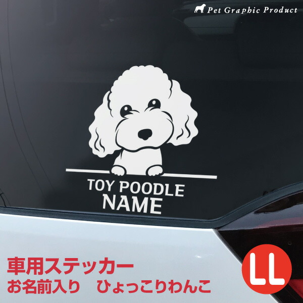 市場 車用 犬 耐水 屋外対応 カッティングステッカー 車 お名前入り 防水 耐候 22×22cm デザインステッカー LLサイズ ひょっこり