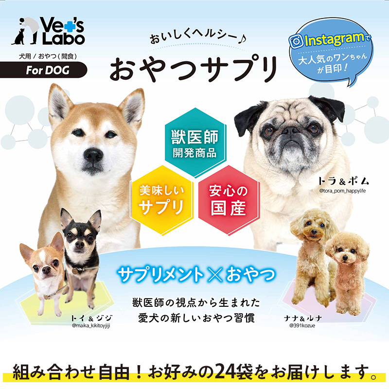 貨物輸送無料 おやつサプリ 飼犬用法 選べる24袋一揃い Vet S Labo 犬 おやつ お負けファクター 合成 元気 皮ふ 人肌 被毛 口臭 泌尿鉢 育ち 蝶つがい パピー ジャパントランペットコミュニケーションズ T Amfaholding Com