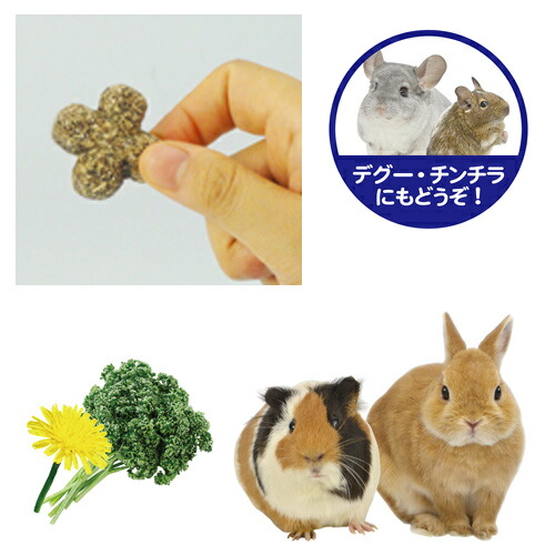 楽天市場 ベジドロップ ラッキーチャーム パセリ タンポポ 60g 三晃商会 ウサギ ラビット モルモット デグー チンチラ 小動物 おやつ スナック グルテンフリー ドイツ 未来アクアリウム 楽天市場店