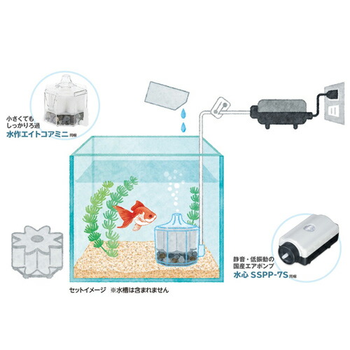 楽天市場 アクアテリア 飼育セットミニ 水作 フィルター ポンプ 国産 観賞魚 魚 アクアリウム 熱帯魚 ペット 未来アクアリウム 楽天市場店