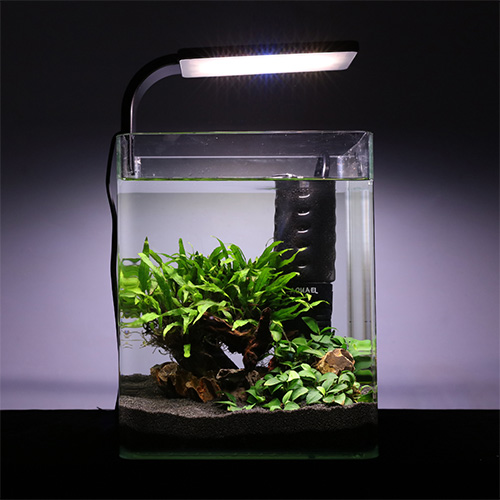 楽天市場 Leddy Smart レディースマート Plant 6w Aquael アクアエル Led ライト 照明器具 アクアリウム 水槽 水草 育成 プランツ ブラック ホワイト 黒 白 未来アクアリウム 楽天市場店