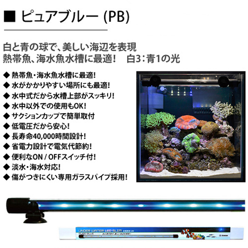 残りわずか ゼンスイ アンダーウォーターｌｅｄ スリム ６０ｃｍ ファインホワイト 水槽用照明 水中ライト 熱帯魚 水草 アクアリウム 関東当日便 水槽照明 Revistas Uautonoma Cl