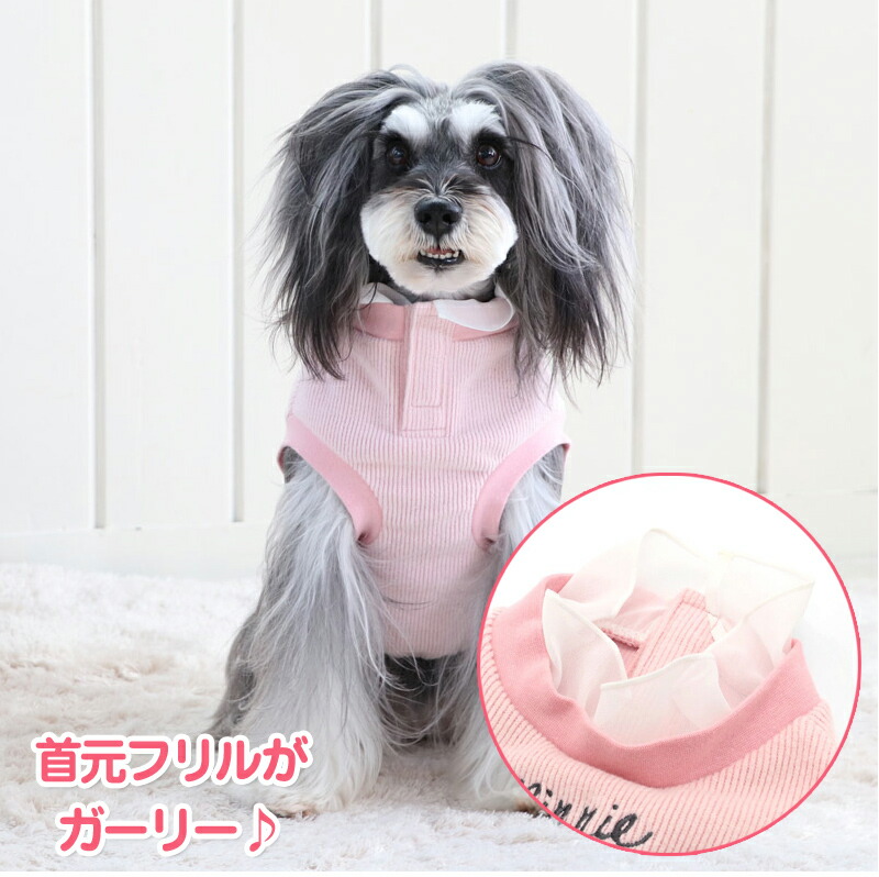 犬 セール いちご いぬ イチゴ イヌ ディズニー トレーナー ドッグウェア ドッグウエア ミニーマウス メール便可 女の子 服 苺 野いちご 野苺 98 以上節約 服