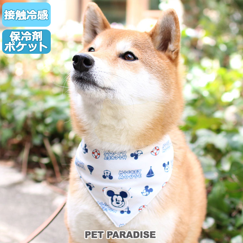 犬 クールネック バンダナ 保冷剤付き マリン柄 ひんやり 夏 ディズニー ミッキーマウス クール