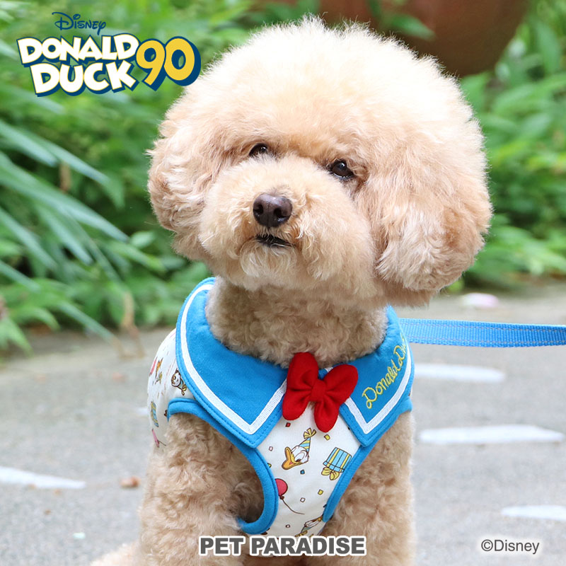 楽天市場】【ペットパラダイス公式】 犬 ハーネス ディズニー ドナルド