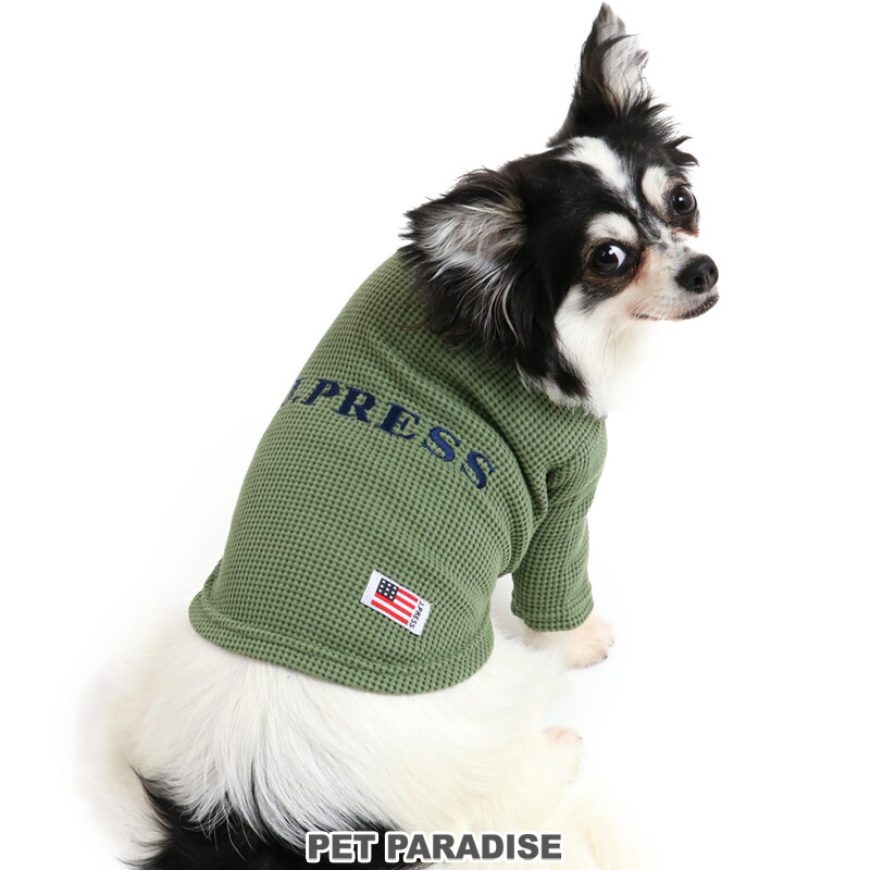 品質が完璧 4点セット J Press ペットパラダイス 犬用品 Www Indiashopps Com