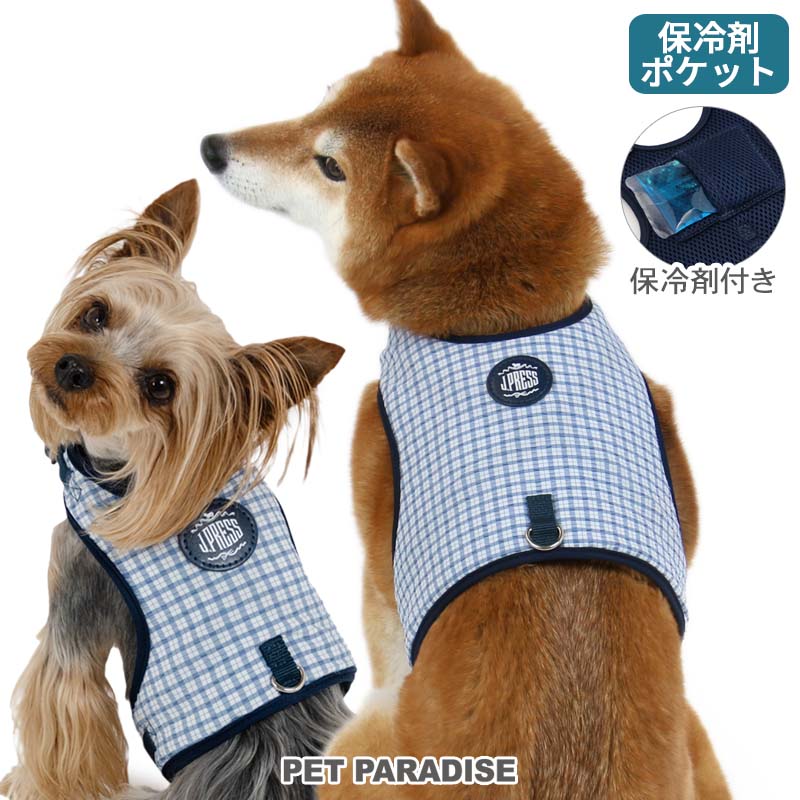 楽天市場】【500円OFFｸｰﾎﾟﾝ】【P5倍】セール ペットパラダイス公式 J
