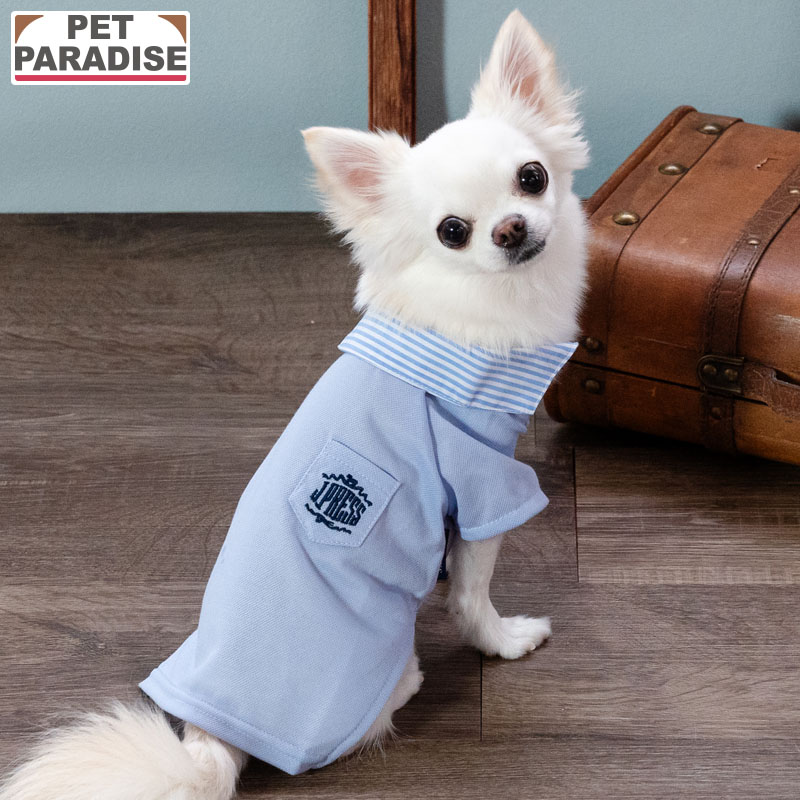 【ペットパラダイス公式】 J.PRESS 犬 服 春 カノコ スキッパー ポロシャツ 小型犬 | ブルー ブランド カジュアル ドッグウェア おしゃれ かわいい かっこいい 春服 春物衣料