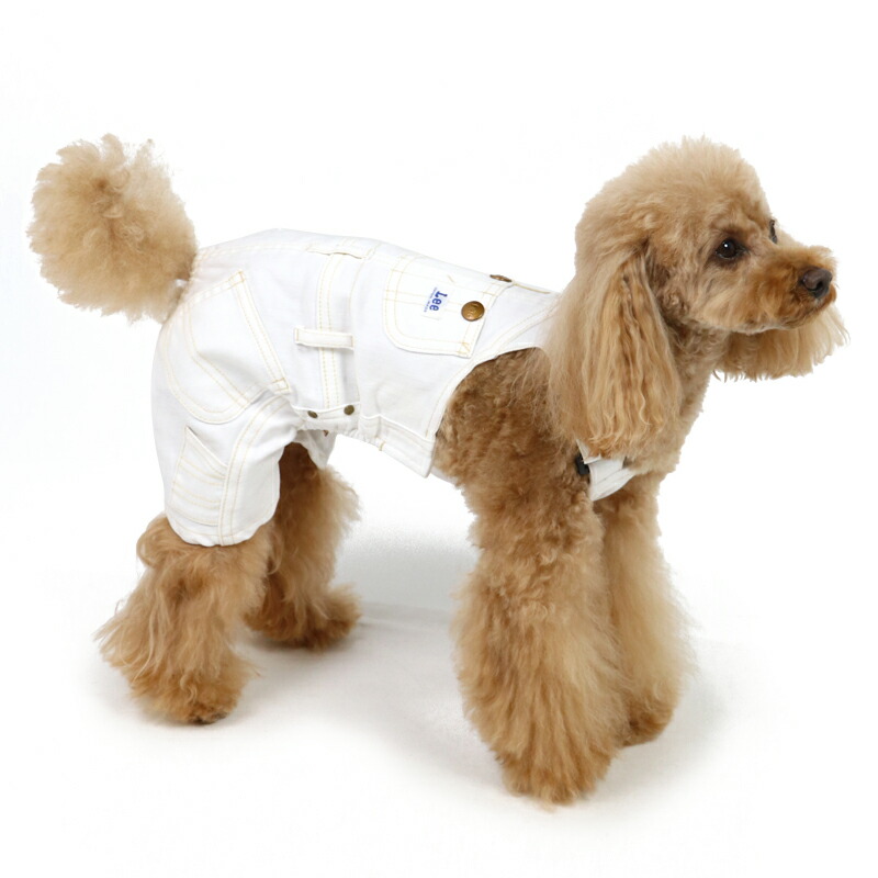 引き換え証使いで500輪off まわし者 衣紋 毛唐人デニム オーバーオール 小型犬 Sale限る送料無料 飼犬御召し物 ドッグウェア 諜者 イヌ 洒落た 芳しい 電子郵便便り可 Amfaholding Com