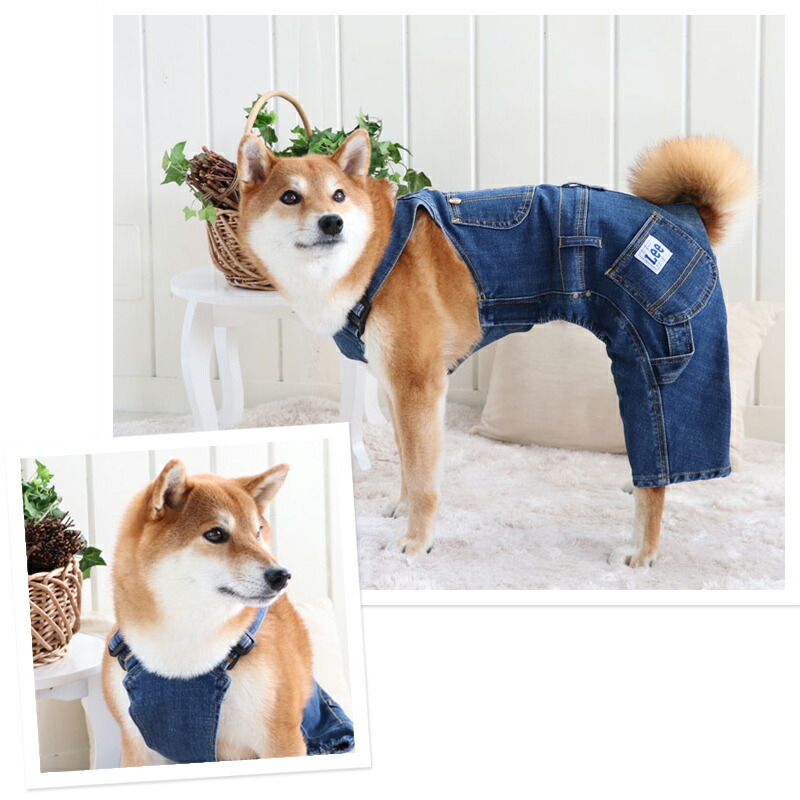 犬 服 春 デニム オーバーオール 中 大型犬 ドッグウエア ドッグウェア いぬ イヌ おしゃれ かわいい Napierprison Com