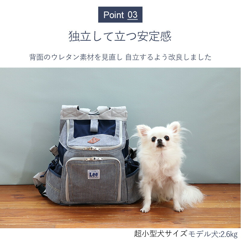 先着で50％OFFクーポン】【P5倍】【880円OFF】【ペットパラダイス公式