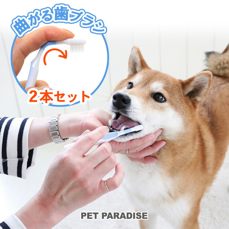 楽天市場】犬 シャンプータオル クリンネスタオル お徳用 詰め替え用【全犬種用】 100枚入り | 国産 ウェットティッシュ お手入れ タオル  シャンプー タオル ボディータオル : ペットパラダイス