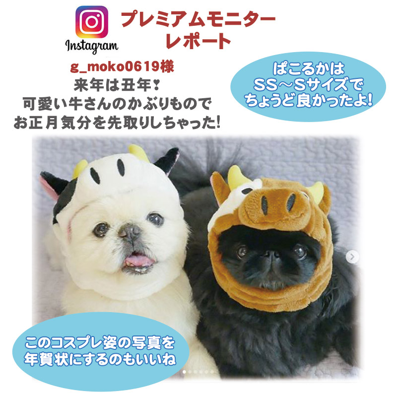 犬 セール Sns うし おしゃれ おもしろ かわいい イヌ インスタ映え ウシ コスチューム コスプレ メール便可 仮装 小物 帽子 干支 牛 着ぐるみ 被り物 数量限定 帽子 犬 セール Sns うし おしゃれ おもしろ かわいい イヌ インスタ映え ウシ コスチューム コスプレ メール便可 仮装 小物 帽子 干支 牛 着ぐるみ 被り物 数量限定 帽子