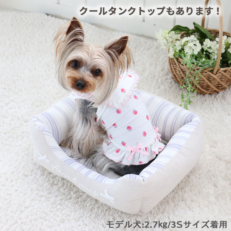 代引き手数料無料 犬 ベッド ひんやり 夏 接触冷感 クール カドラー 38×32cm 四角 錨柄 縞柄 イカリ ストライプ 涼感 冷却 洗える 猫  ペットベット ハウス 小型犬 介護夏クッション キャラクター www.agroservet.com