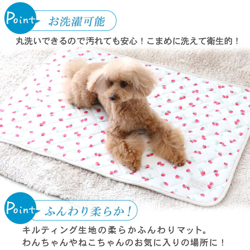 犬クールマット冷感柔らかクールマット(90×60cm))苺ネイティブ|四角いちごイチゴピンク桃色ブルー青女の子接触冷感ひんやりペットマット夏用ペットベッド夏犬ベッド洗える涼感冷却母の日