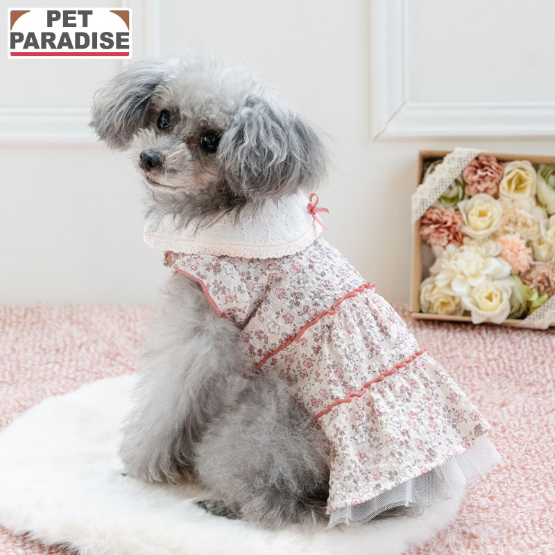 【880円OFF&最大2000円OFFｸｰﾎﾟﾝ】【P10倍】【ペットパラダイス公式】 犬 服 春 レース襟 小花 ワンピース 小型犬 | ピンク 袖なし ブランド カジュアル おしゃれ かわいい 春物衣料 女の子