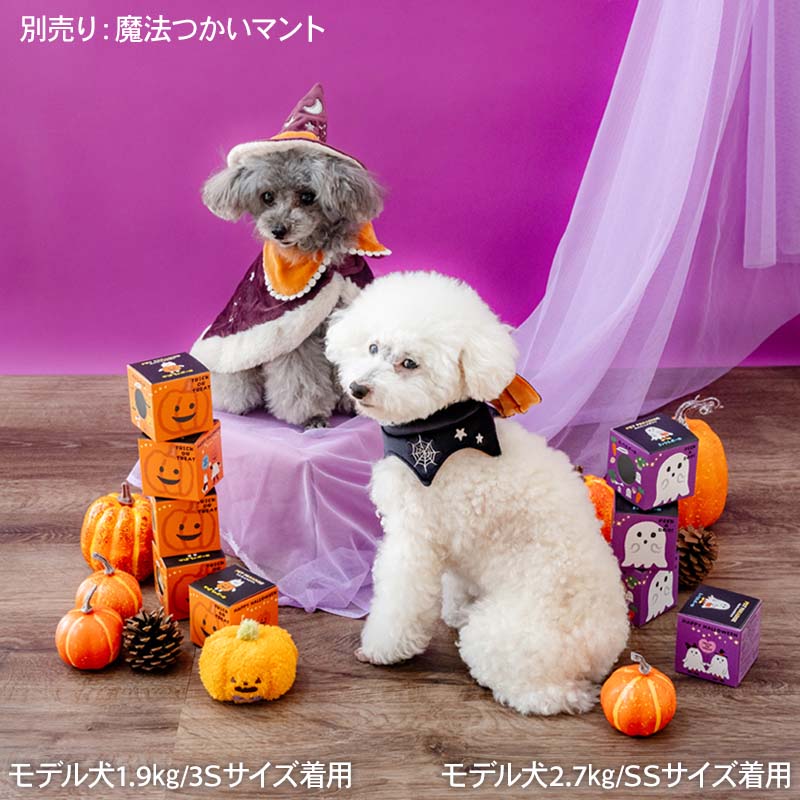 Pet Paradise Official Halloween Costume Bat Choker for Small, Medium, and Large Dogs (Sizes 4S-L) Black | Costume Cosplay Casual Walk Stylish Cute Bandana Style