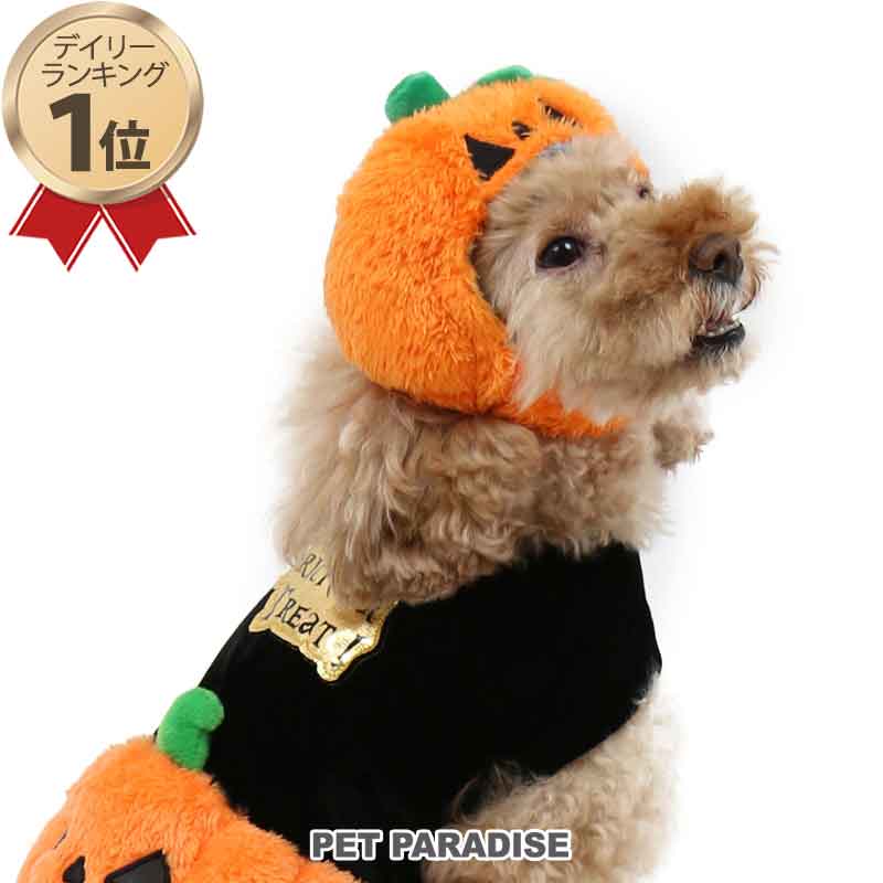 楽天市場 Sale ハロウィン 犬 コスプレ かぼちゃ 帽子 橙 小型犬 犬 ペット 帽子 パンプキン セール 返品交換不可 アウトレット メール便可 ペットパラダイス