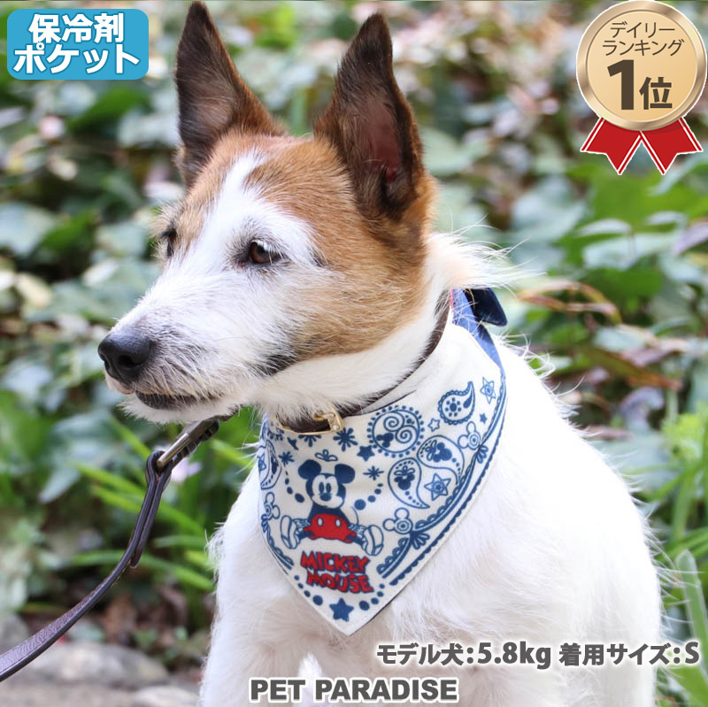 楽天市場 犬 クールバンダナ ひんやり 夏 バンダナ 保冷剤付き ディズニー ミッキーマウス クール バンダナ 小型犬 ペイズリー柄 ネッククーラー 首元 ひんやり バンダナ ひんやり 涼感 冷却 吸水速乾 メール便可 ペットパラダイス
