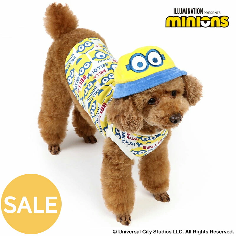 楽天市場】犬 服 冬 ミニオン パーカー 小型犬 ボブ | 秋冬