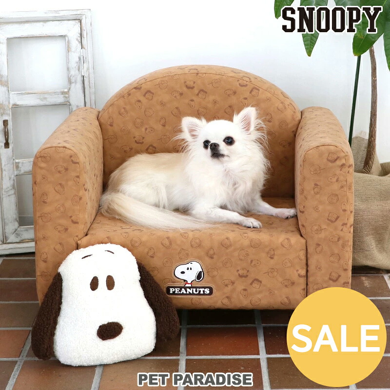 楽天市場】【最大2000円OFFｸｰﾎﾟﾝ】【880円OFF】ミニオン ティム 犬