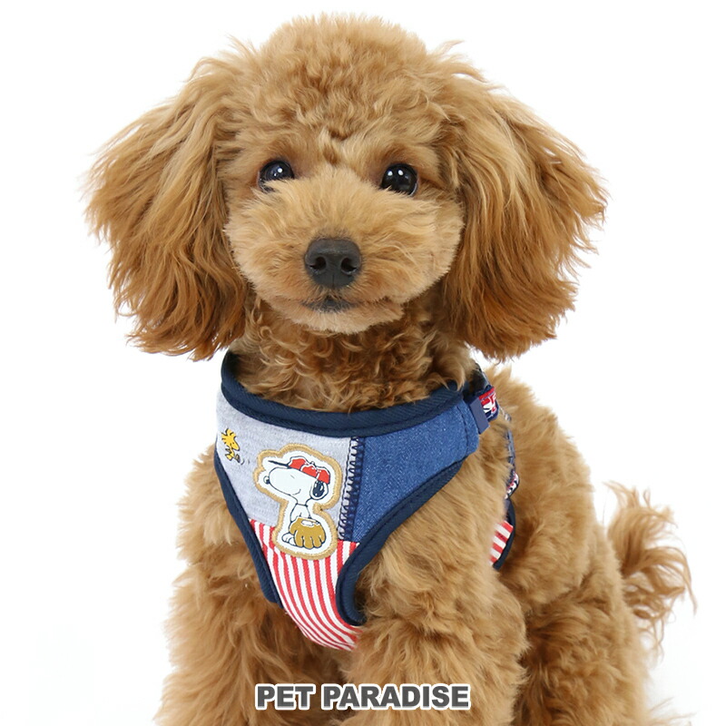 楽天市場 ポイント5倍 犬 ハーネス スヌーピー ｓｓ ベースボール グッズ 小型犬 おさんぽ おでかけ お出掛け おしゃれ オシャレ かわいい 小型犬 キャラクター メール便可 ペットパラダイス