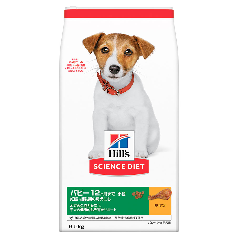 科学知識食事制限 パピー 12ヶ月まで 素粒子 意気地無し 6.5kg（ドッグフード 犬ころ）